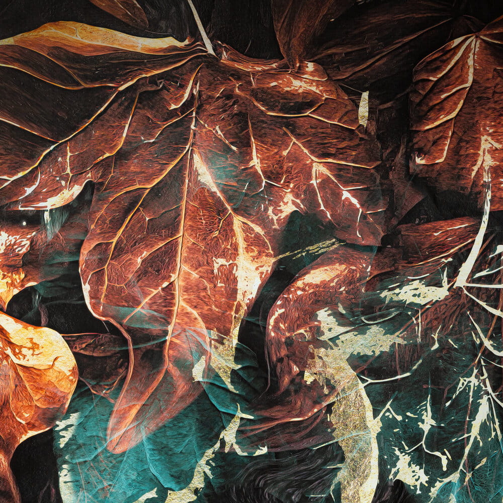 Pościel bawełniana 160x200 cmczarna z wzorem roślinnym EVA 16